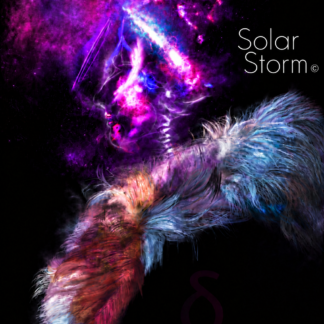 Solar Storm
